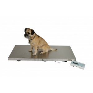 V-250 Large Veterinary Scale